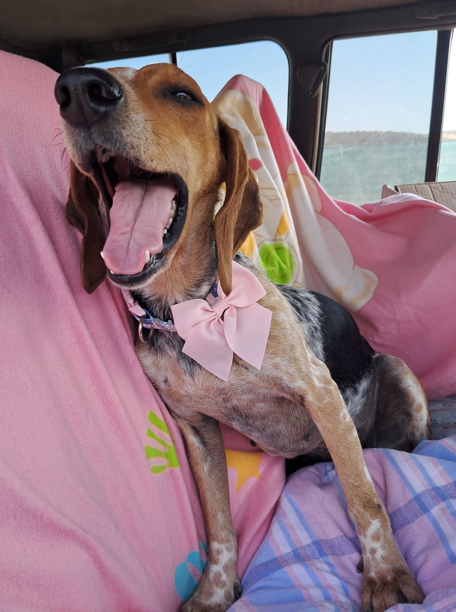 Chloe flies home to start her new adventures!💟