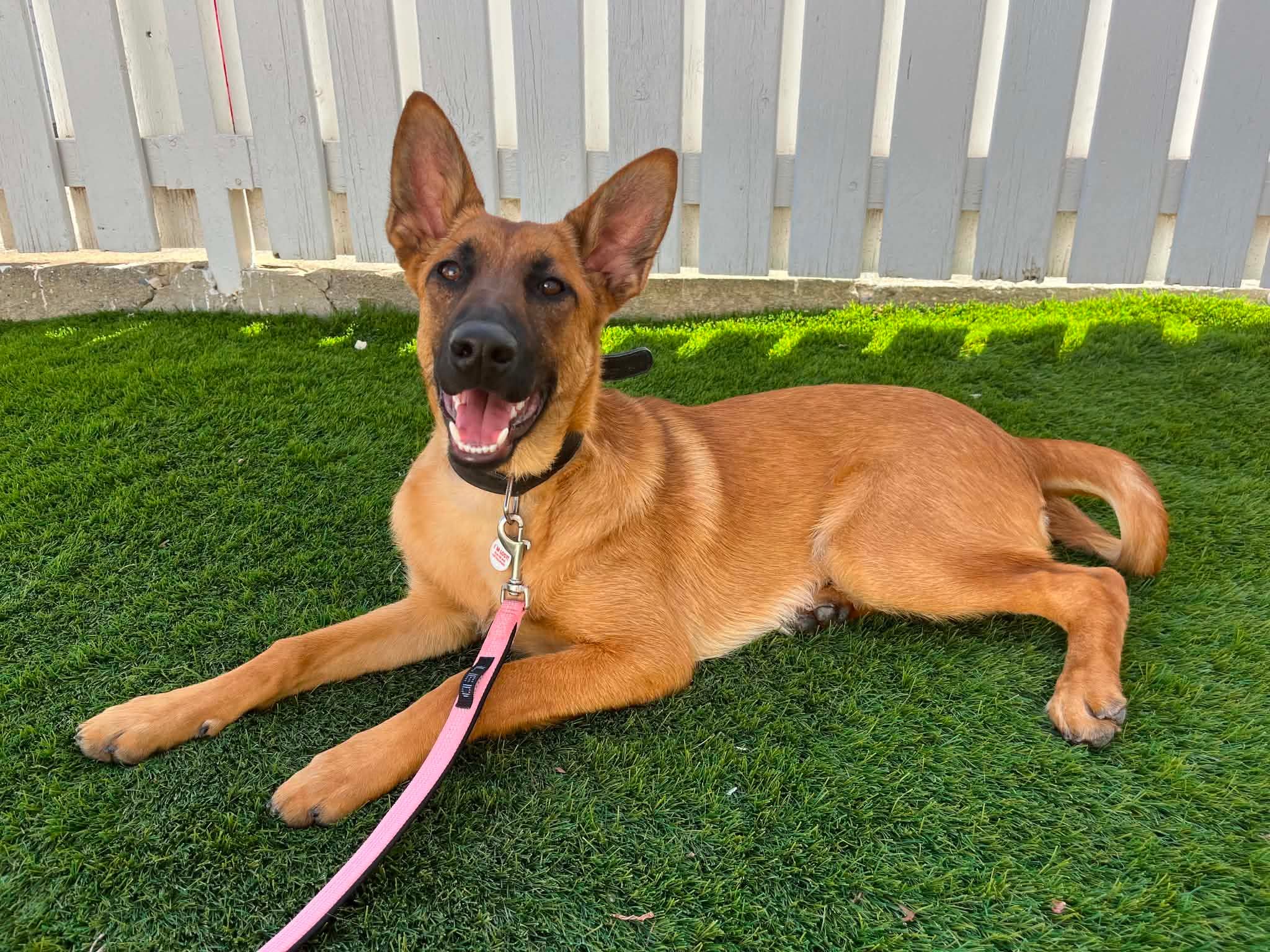 Athena bags her dream home!💞