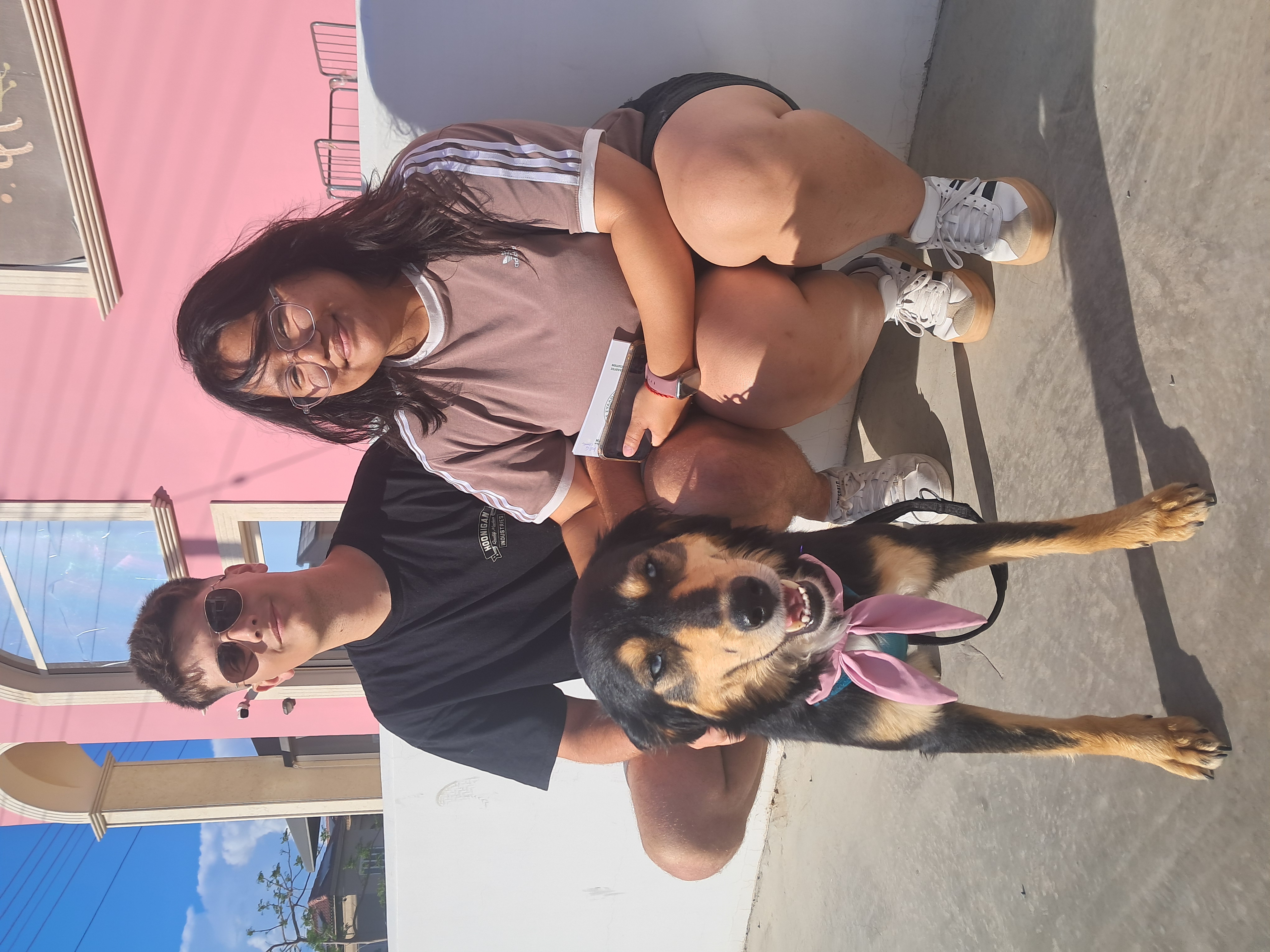 Lovely Meg finds her loving home!