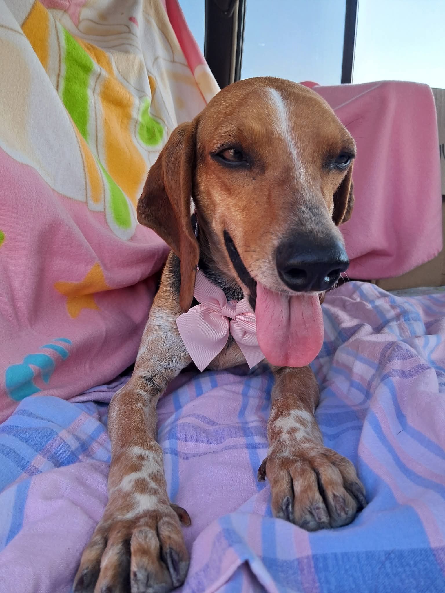 Chloe flies home to start her new adventures!💟
